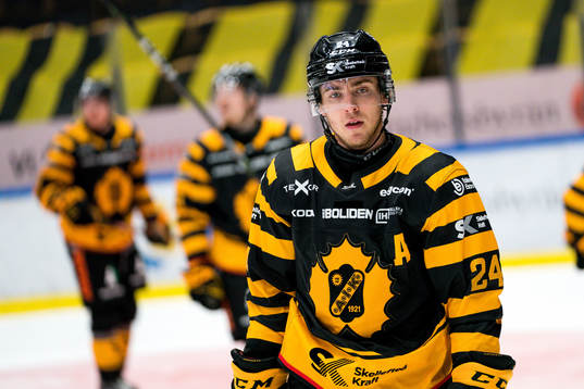 Skellefteås Andreas Wingerli