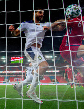 Aleksandar Mitrovic looks
