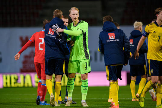Goalkeeper Pontus Dahlberg of Sweden celebrates afterthe