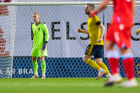 Goalkeeper Pontus Dahlberg of Sweden