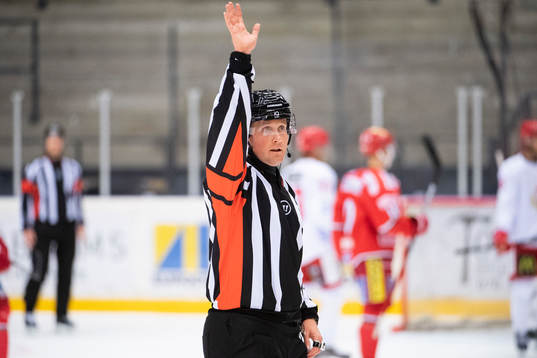 Domare Daniel Eriksson