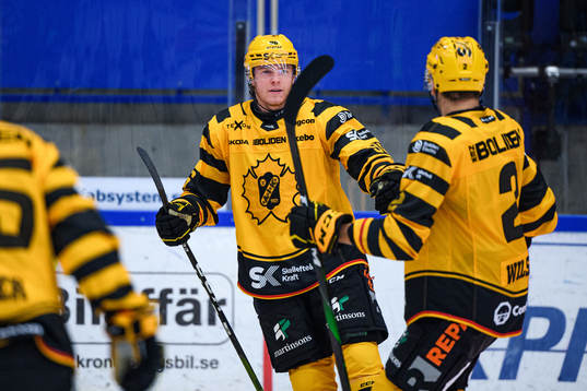 Skellefteås Rickard Hugg jublar
