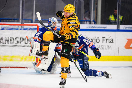 Skellefteås Tyler Morley jublar