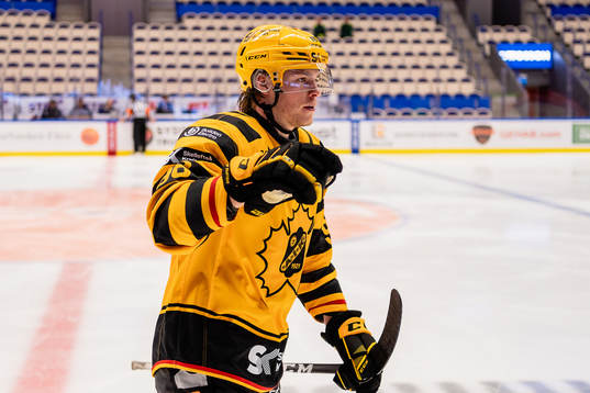 Skellefteås Rickard Hugg jublar