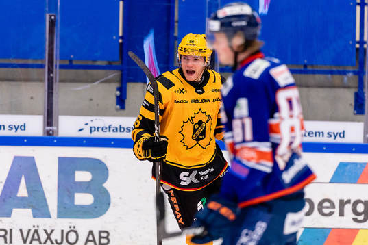 Skellefteås Rickard Hugg jublar