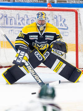 s målvakt Hugo Alnefelt