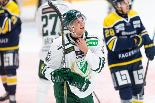 Färjestads Adam Ginning