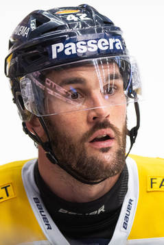 s Niklas Arell