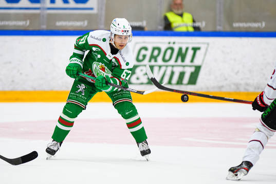 Rögles Leon Bristedt