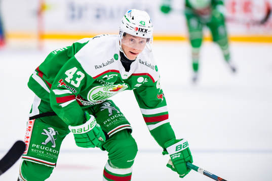 Rögles Olli Palola
