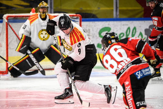 Brynäs Niclas Andersén
