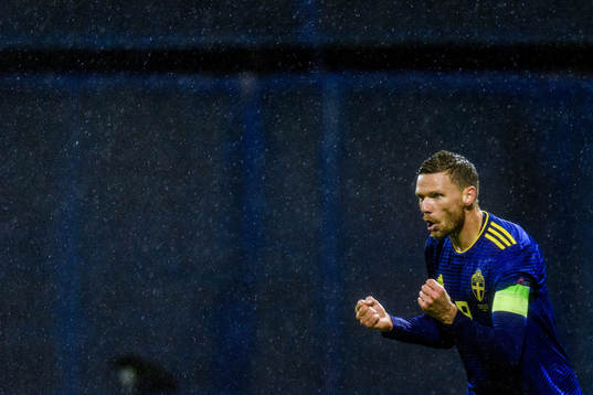 Marcus Berg of Sweden celebrates