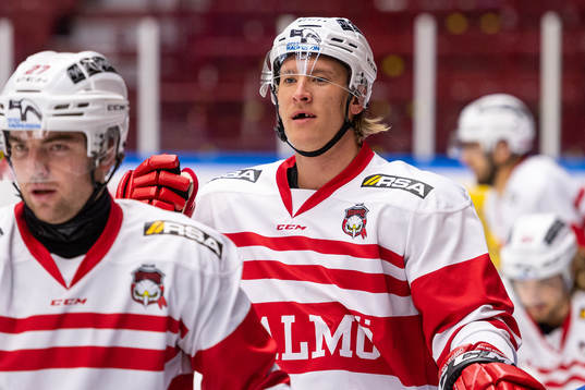 Emil Sylvegård
