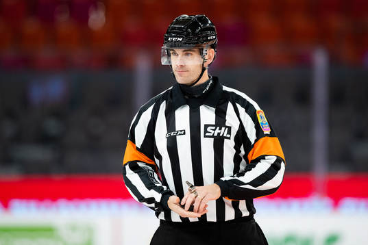 Domare Richard Magnusson