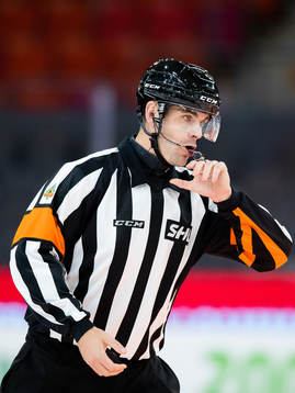 Domare Richard Magnusson
