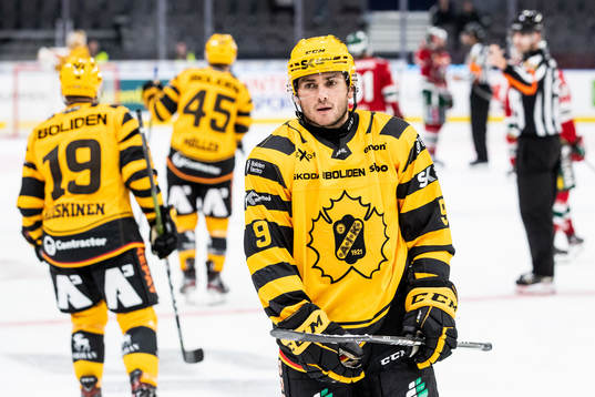 Skellefteås Darren Nowick deppar