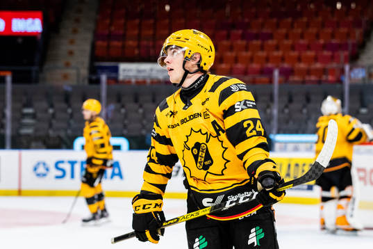 Skellefteås Andreas Wingerli deppar