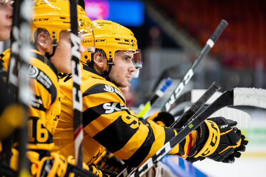Skellefteås Darren Nowick