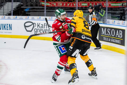 Frölundas Joel Lundqvist och Skellefteås Petter Granberg