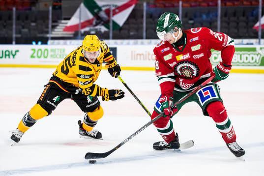 Skellefteås Oscar Möller och Frölundas Johan Sundström