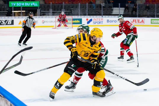 Skellefteås Rickard Hugg