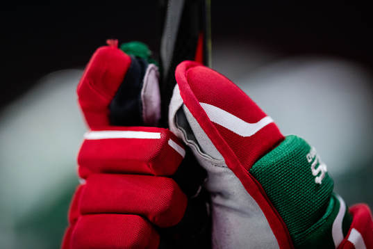 En Frölunda handske