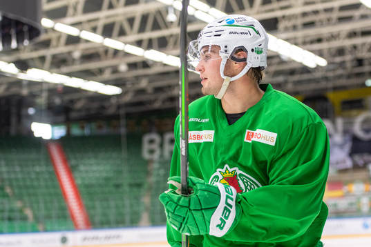 Nils Höglander