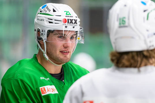 Nils Höglander