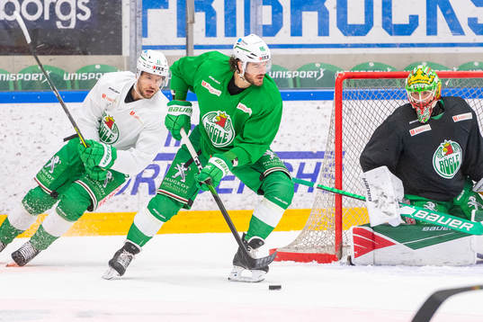 Mattias Sjögren och Eric Gelinas