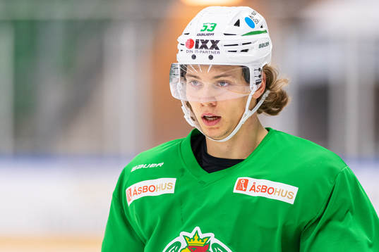 Moritz Seider