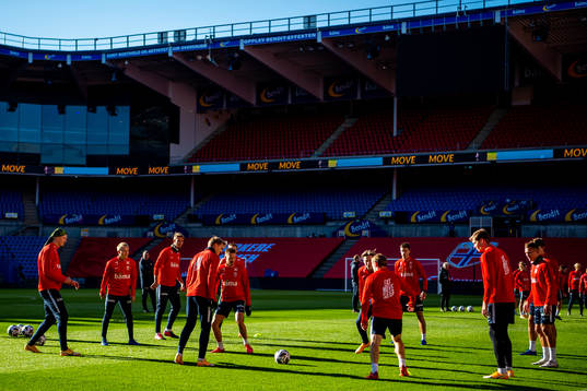 Erling Braut Haaland, Martin Ødegaard, Martin Linnes and