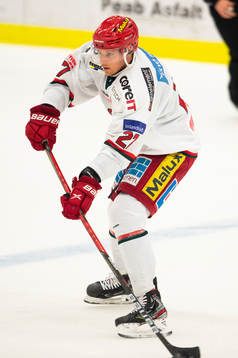 Modos Brendan Mikkelson