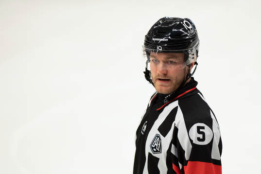 Domare Daniel Eriksson