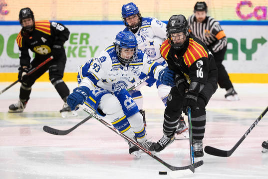 Bläddra bland fler bilder av Ishockey, SDHL, Leksand - Brynäs