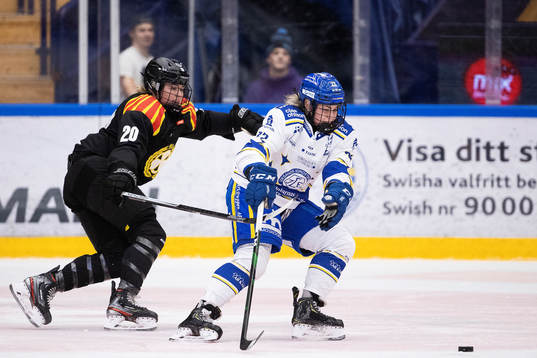 Brynäs Jalyn Elmes och Leksands Dominique Rüegg