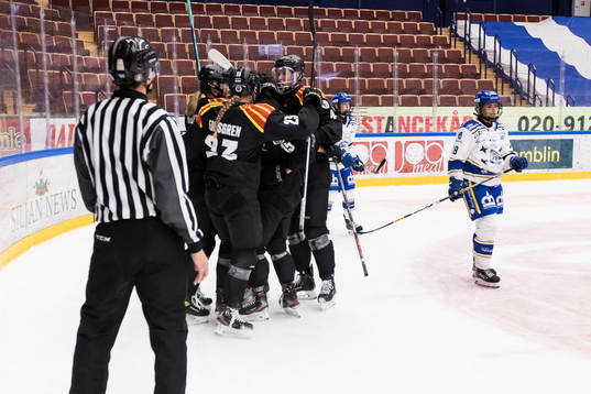Brynäs spelarna jubel