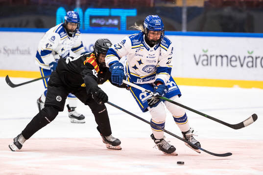 Leksands Dominique Rüegg