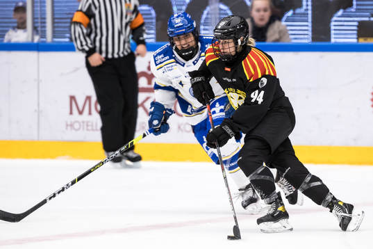 Brynäs Anna Meixner