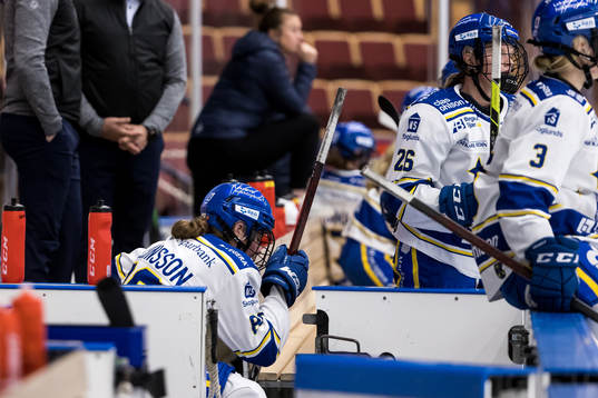 Leksands spelarna deppar