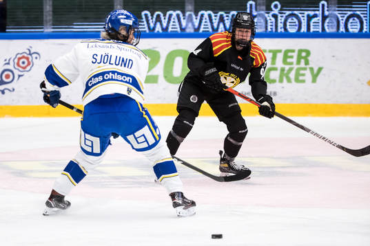Brynäs Anna Meixner