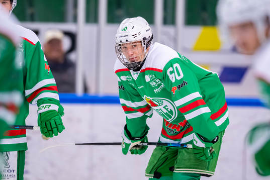 Rögles Viktor Smeds