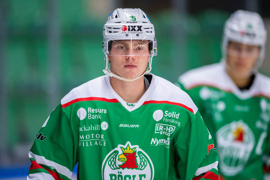 Rögles Edwin Hansson