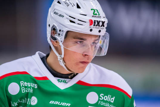 Rögles Hannes Asp