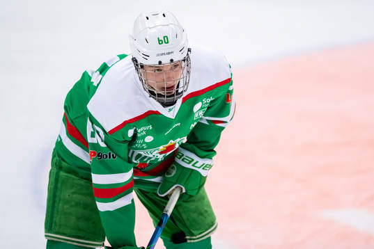 Rögles Viktor Smeds
