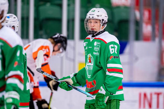 Rögles Viktor Smeds