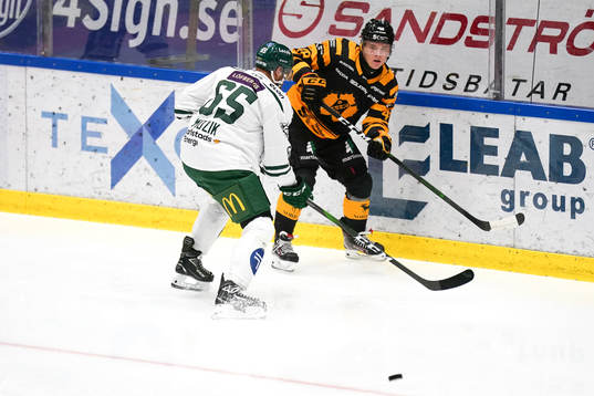 Färjestads Vojtech Mozik och Skellefteås Jonatan Berggren