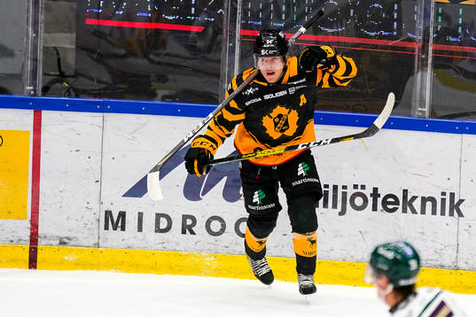 Skellefteås Andreas Wingerli