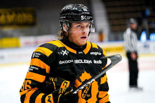Skellefteås Rickard Hugg