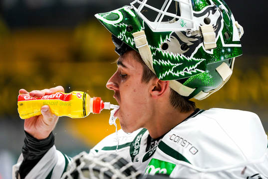 Färjestads målvakt Arvid Holm