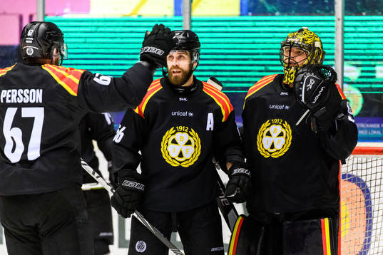 Bläddra bland fler bilder av Ishockey, SHL, Brynäs - Rögle